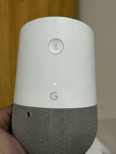 Google Home Assistant