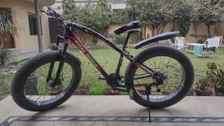 Roal rider fat bike condition 10/9 ha all gears working