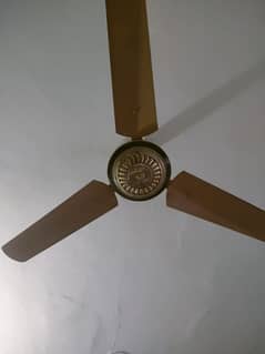 sealing fan in bear condition