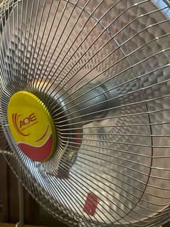 fan