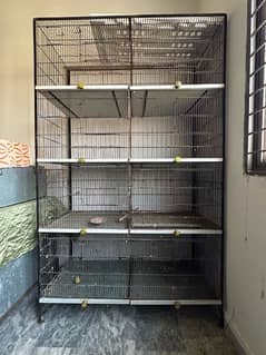 Cage for Birds