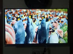 Samsung 4K UHD TV