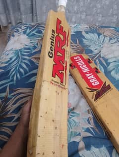 Hard cock cricket bats