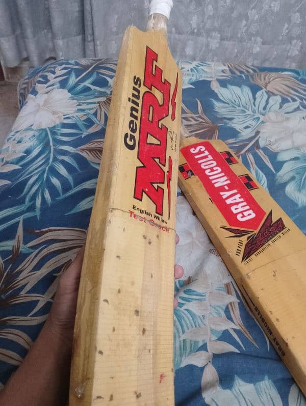 Hard cock cricket bats 0