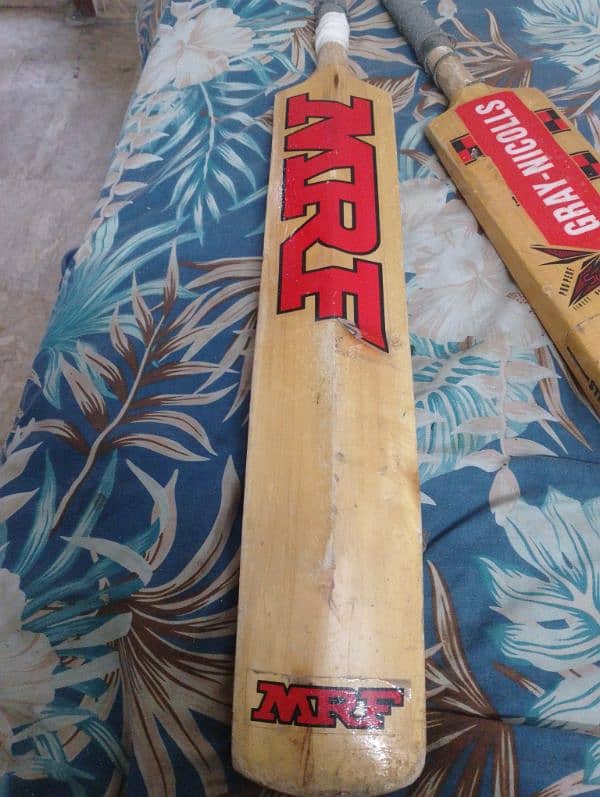 Hard cock cricket bats 1