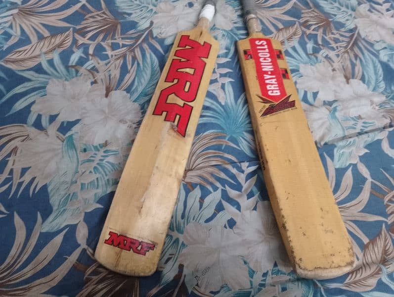 Hard cock cricket bats 2