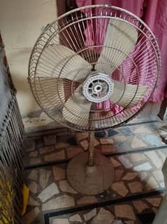 Table fan