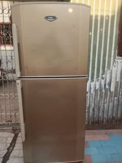 Haier inspired Refrigerator