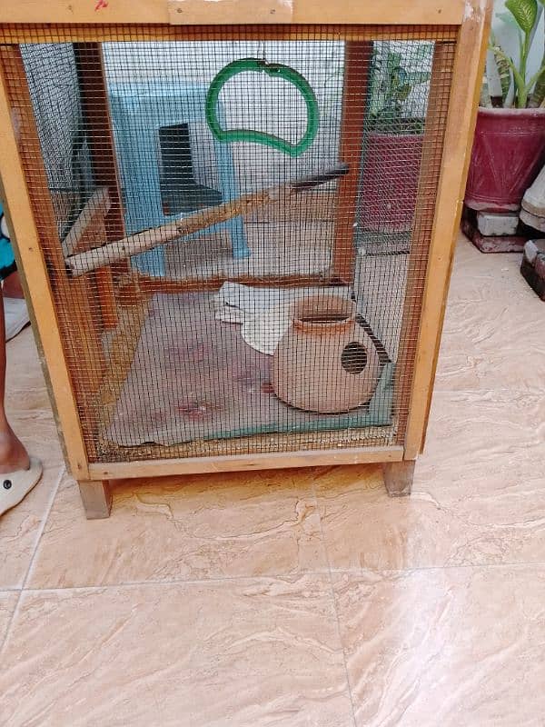 cage for parrots 1