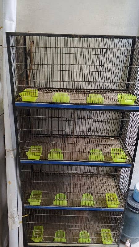 Birds cage 1