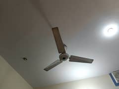 hi am selling my fan