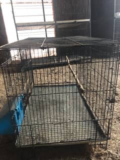 birds cage for sale