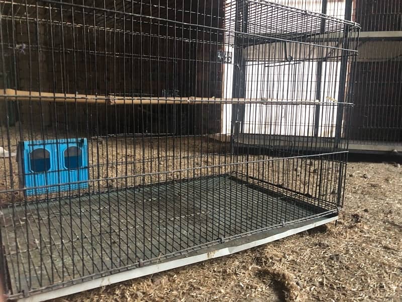 birds cage for sale 2