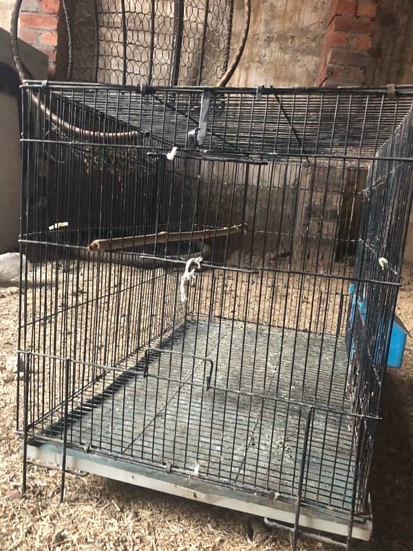 birds cage for sale 3