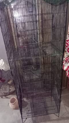 Bird Cage