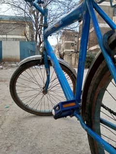 cycle for sell