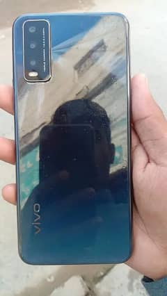 vivo