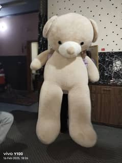 teddy bear new condition 5.5 feet