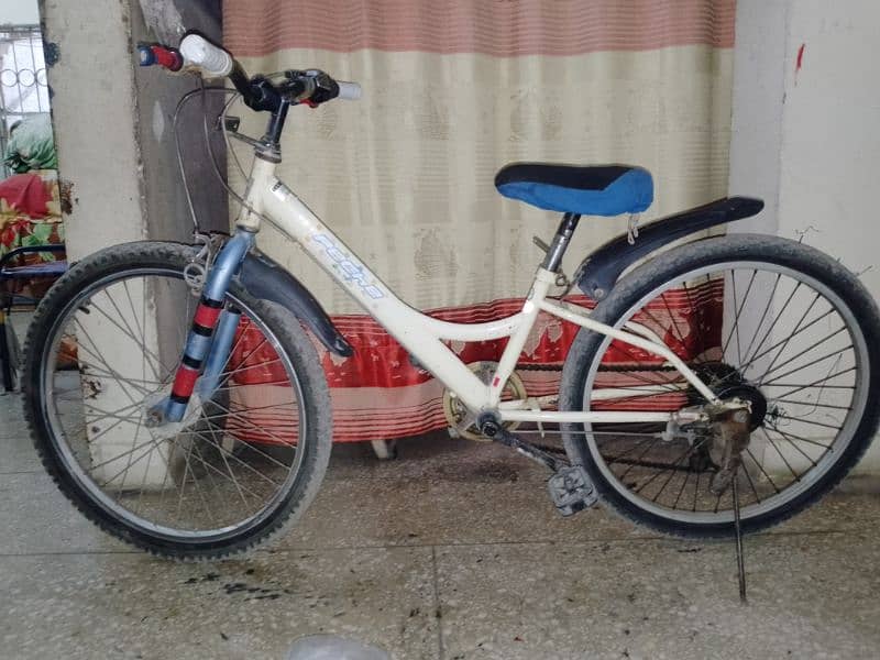 genuine cycle , size 24 5