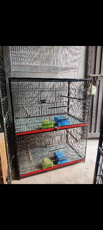 cages and love birds for sale 0