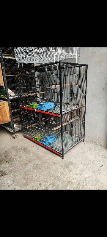 cages and love birds for sale 1