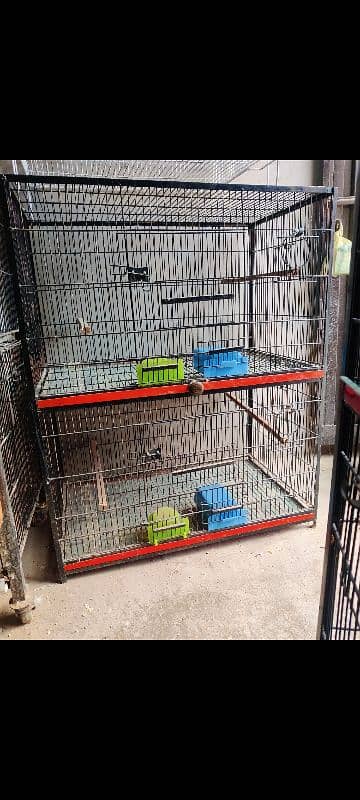 cages and love birds for sale 2