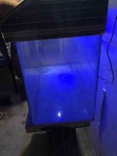 Fish aquarium