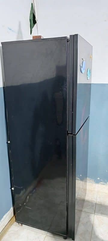 Fridge full size PEL glass door 1