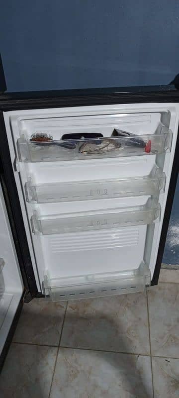 Fridge full size PEL glass door 2