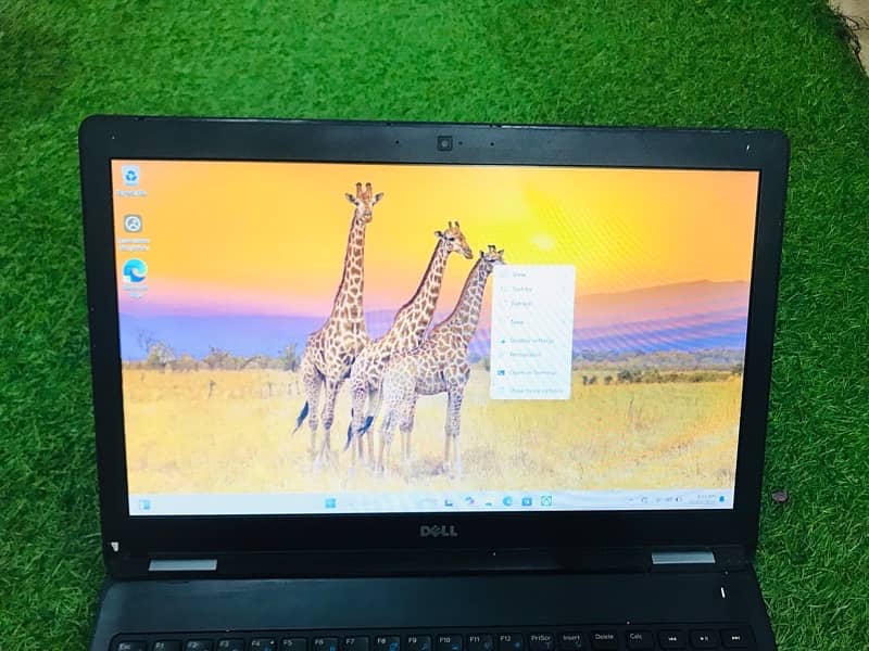 Dell Laptop 6