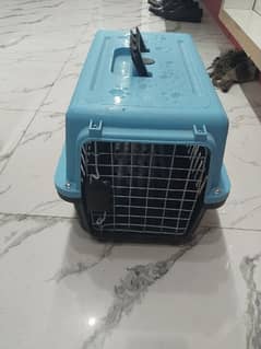 Cat travailing Cage