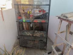 cage/pinjra for all birds & parrot