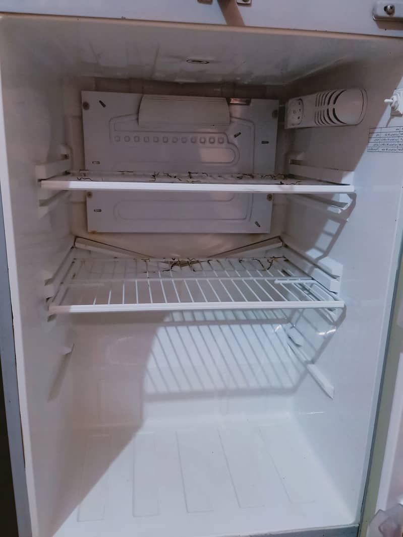 PEL Refrigerator 2