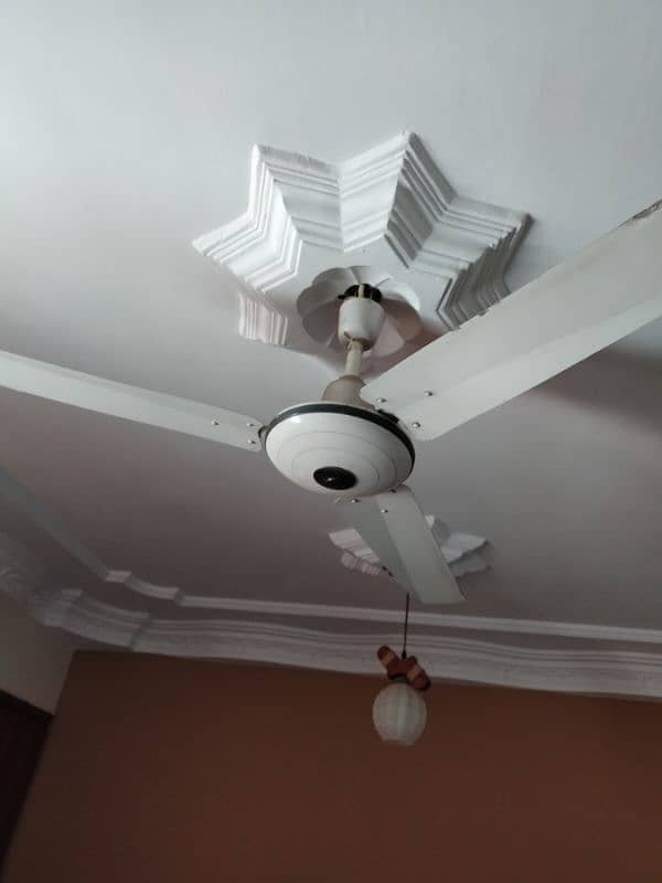 3 fan for sale urgent 1