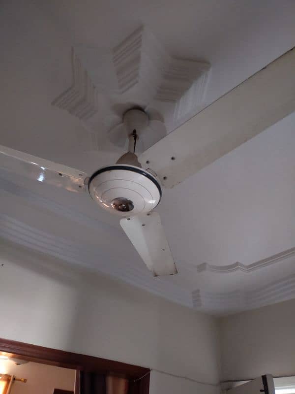 3 fan for sale urgent 2