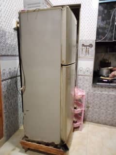 Selling Pel refrigerator 10/10 condition