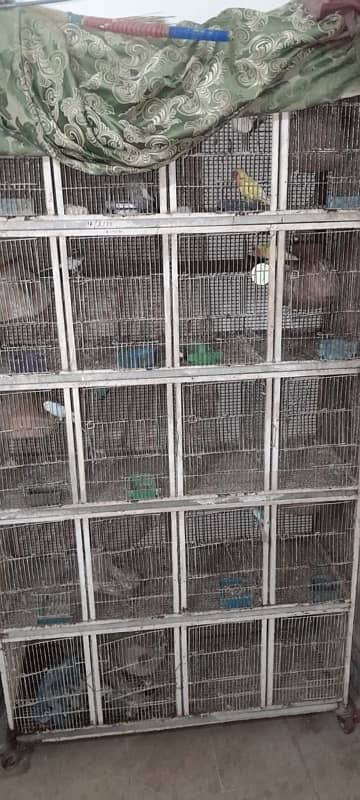 Birds Cages - 20 Boxes 1