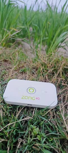 Zong