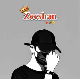 M Zeeshan Satti