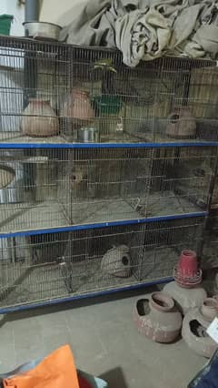 Bird Cage