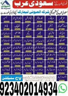 Kota wark visa program