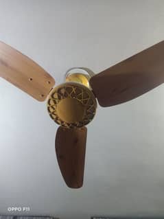 celling Fan and Curtains and wall lamp