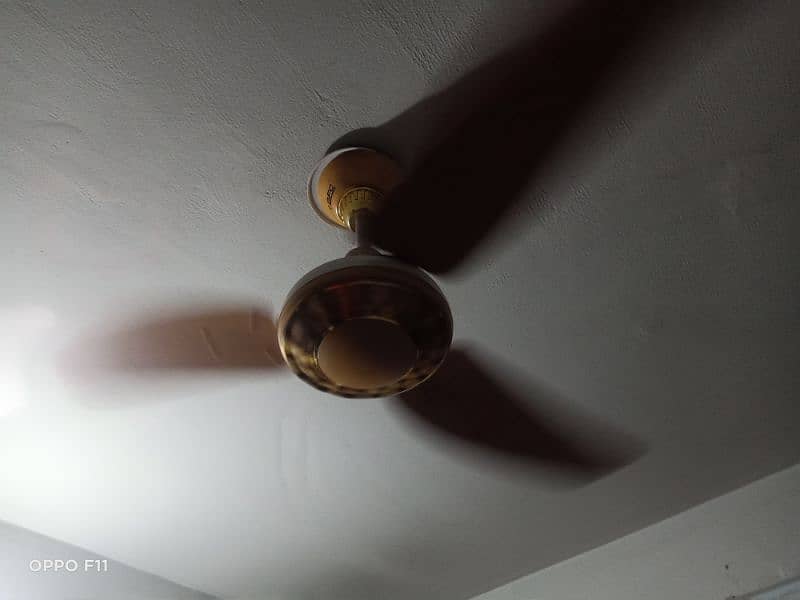 celling Fan and Curtains and wall lamp 3