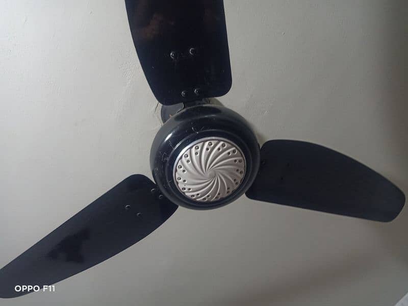 celling Fan and Curtains and wall lamp 5