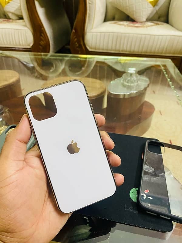 Premium iPhone 11 Pro Cover 2