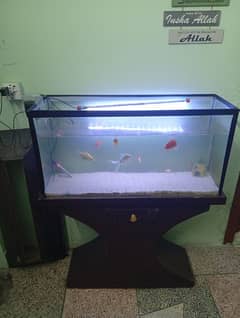 Fish aquarium with accessories for sale