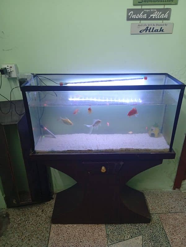 Fish aquarium with accessories for sale 0