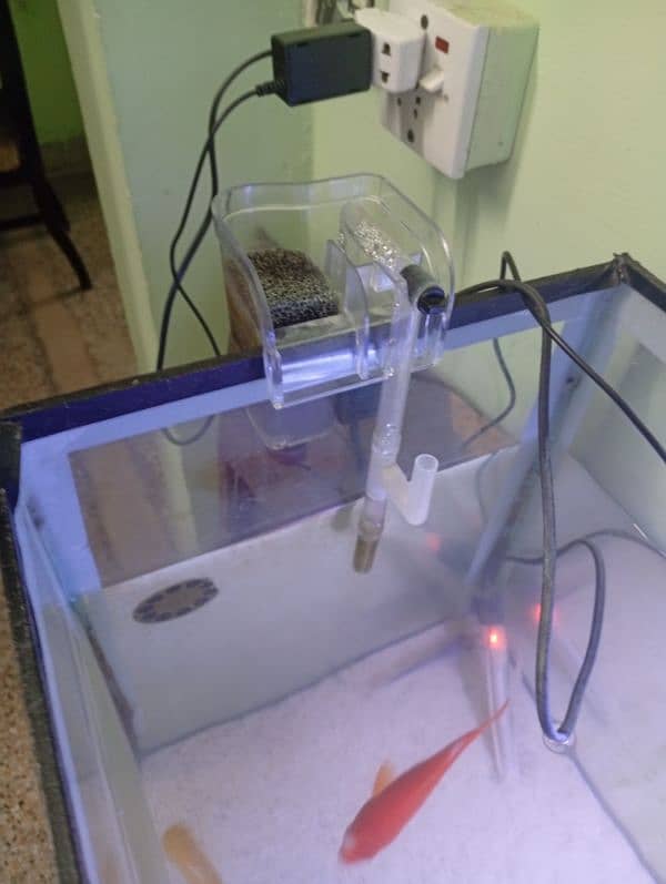 Fish aquarium with accessories for sale 1