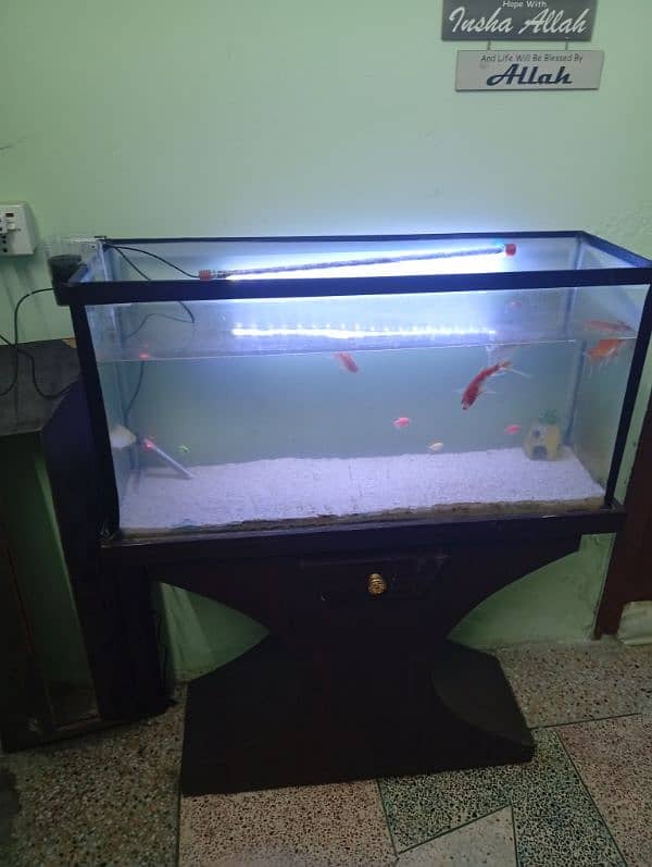 Fish aquarium with accessories for sale 3