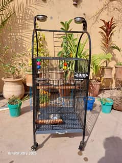 Big Parrot Cage